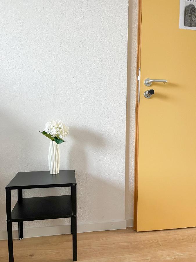 ジンゲンHegau Boardinghouseアパートメント エクステリア 写真