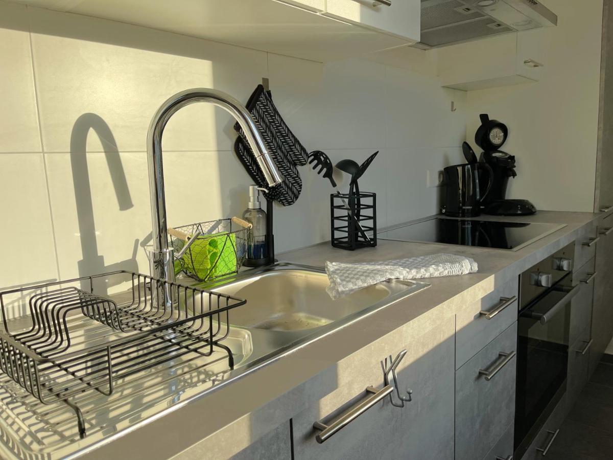 ジンゲンHegau Boardinghouseアパートメント エクステリア 写真